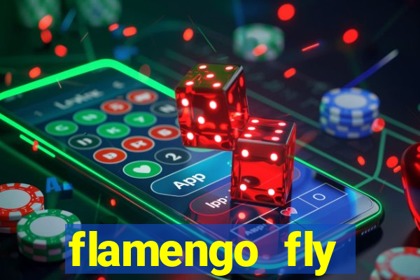 flamengo fly emirates ultimas noticias
